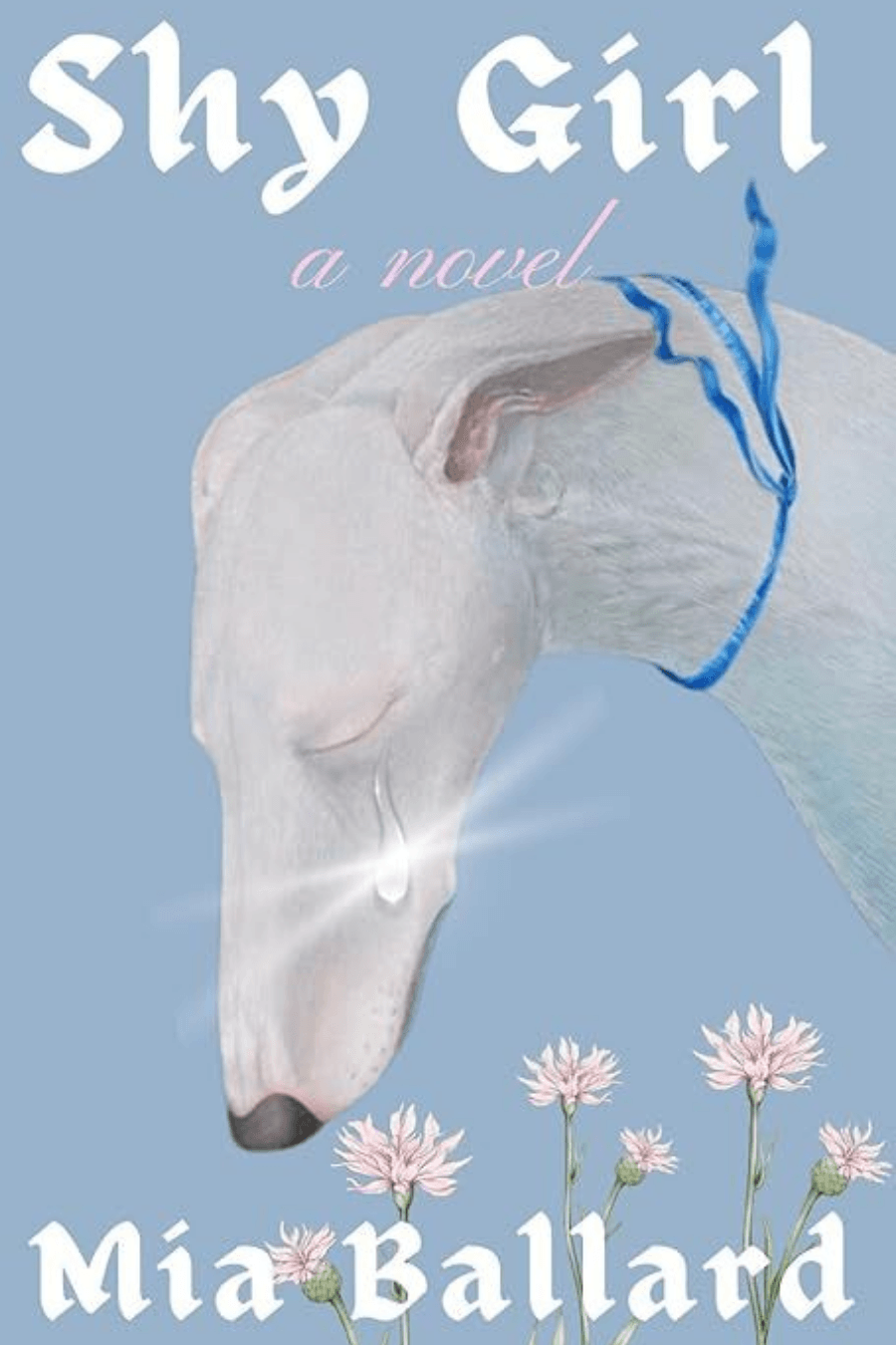 Shy Girl by Mia Ballard cover